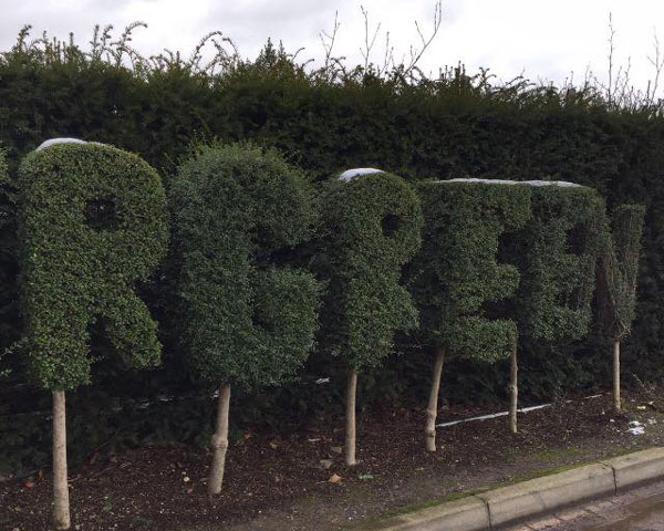 R Green Hedges